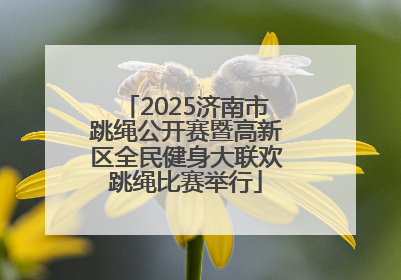 2025济南市跳绳公开赛暨高新区全民健身大联欢跳绳比赛举行
