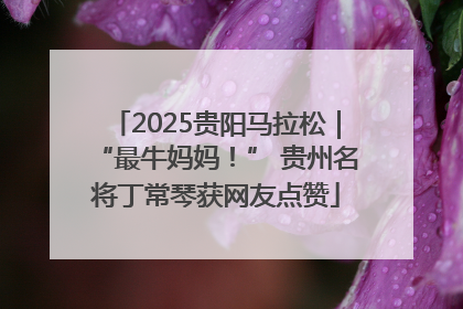 2025贵阳马拉松｜“最牛妈妈！” 贵州名将丁常琴获网友点赞