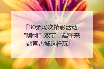 30余场次精彩活动“嗨翻”双节，端午来盐官古城这样玩