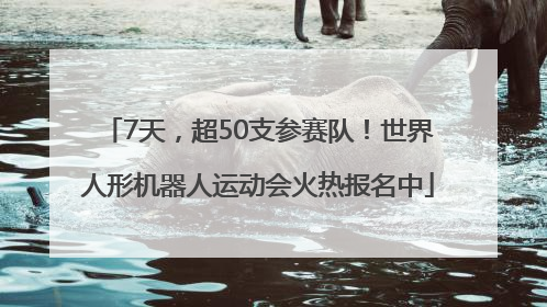 7天，超50支参赛队！世界人形机器人运动会火热报名中