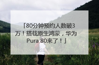 80分钟预约人数破3万！搭载原生鸿蒙，华为Pura 80来了！