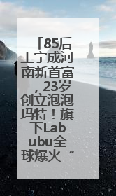 85后王宁成河南新首富，23岁创立泡泡玛特！旗下Labubu全球爆火“一娃难求”