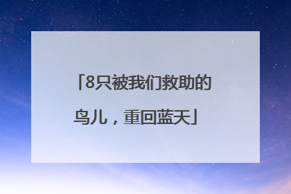 8只被我们救助的鸟儿，重回蓝天