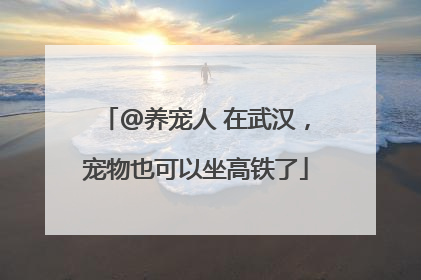 @养宠人 在武汉，宠物也可以坐高铁了