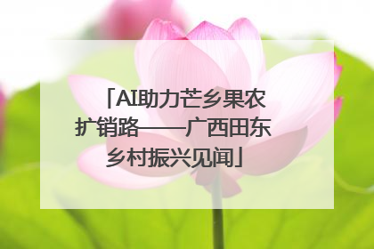AI助力芒乡果农扩销路——广西田东乡村振兴见闻