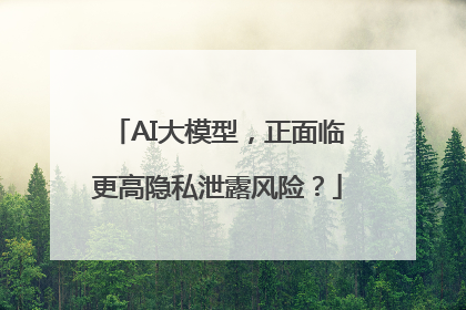AI大模型，正面临更高隐私泄露风险？