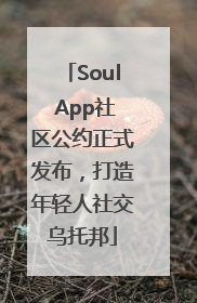 Soul App社区公约正式发布，打造年轻人社交乌托邦