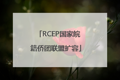 RCEP国家皖籍侨团联盟扩容