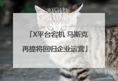 X平台宕机 马斯克再提将回归企业运营