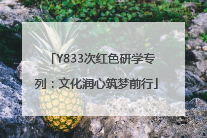 Y833次红色研学专列：文化润心筑梦前行
