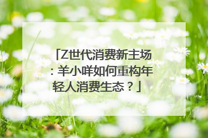 Z世代消费新主场：羊小咩如何重构年轻人消费生态？
